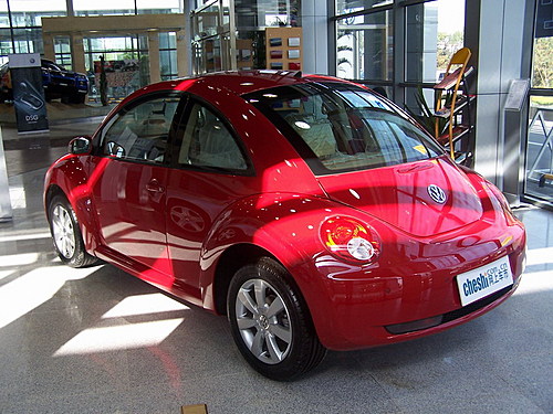 ¹ ׿ǳbeetle 45 